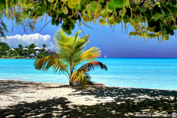 Antigua&#039;s Most Famous Beaches